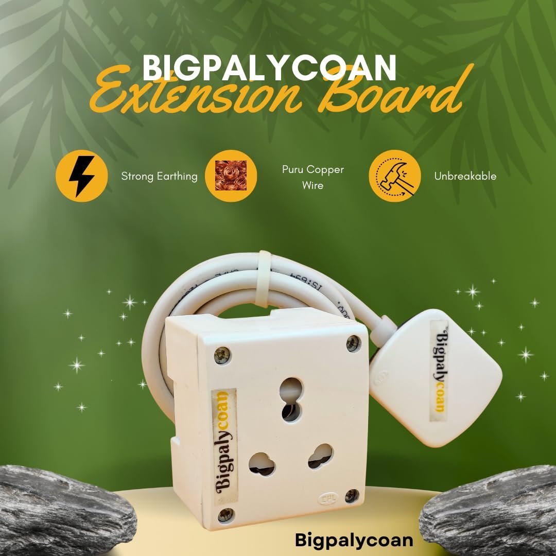 Bigpalycoan Electric Extension Board 6A to 16A Converter with 1.5 mm ...